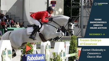 Frozen embryo from Cornet Obolensky x Casarusa - Online Auction - Paardenveilingonline.com