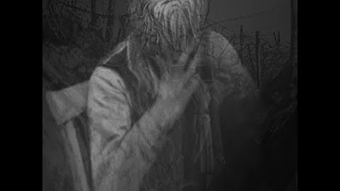 Fear & Hunger 2: Termina - Daan edit