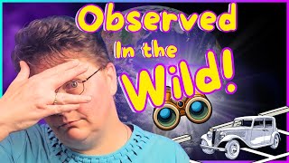 Humans In The Wild Everyday Annoyances