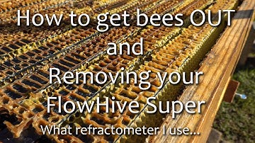 Honey Bee Questions Answered, Removing Flow Hive Supers for winter,  Honey Testing, Queen Excluder.
