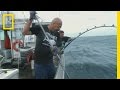 The last battle  wicked tuna catch of the week