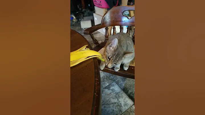 Walter trying banana