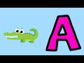 A Is For Alligator