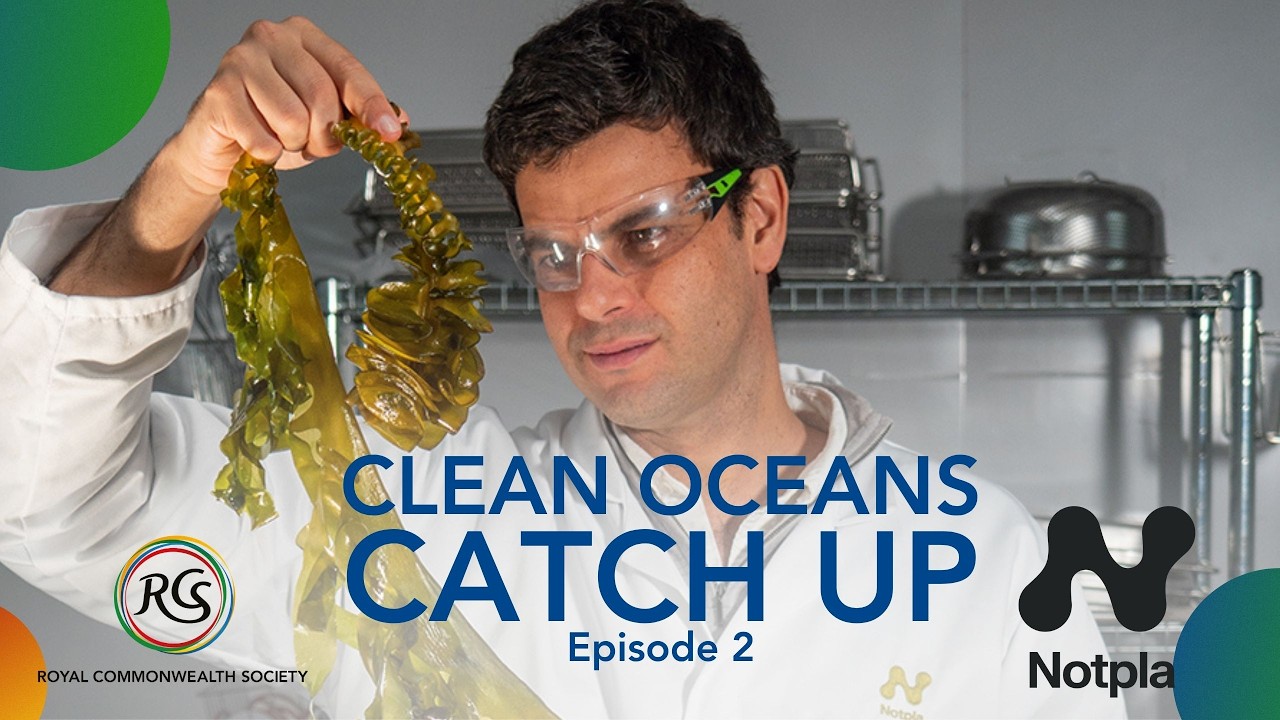 Royal Commonwealth Society Clean Oceans Catch Up | Episode 2: Notpla