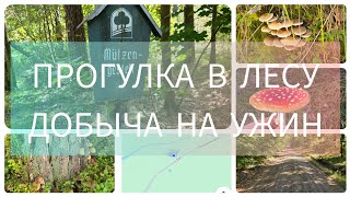 видео: ГРИБНАЯ ОХОТА, КОТОРАЯ ЕДВА УДАЛАСЬ🧐#влесу#германия#грибники#лес#грибы#ужин#жаренаякартошка#грибочки картинка: ГРИБНАЯ ОХОТА, КОТОРАЯ ЕДВА УДАЛАСЬ🧐#влесу#германия#грибники#лес#грибы#ужин#жаренаякартошка#грибочки