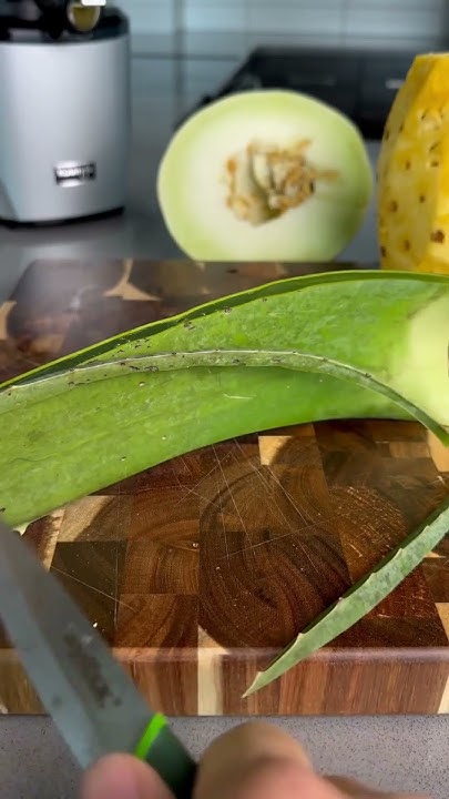 tasty-aloe-vera-juice-recipe-for-acid-reflux-acidreflux-kuvingsjuicer