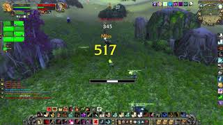 WoW Classic PvP - Thoris (Hunter) - Warsong Gulch: Benediction Premade vs Thunderfury Premade