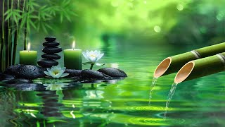 Relaxing Music to Relieve Stress, Anxiety and Depression 🌿 Heals The Mind, Body and Soul #13