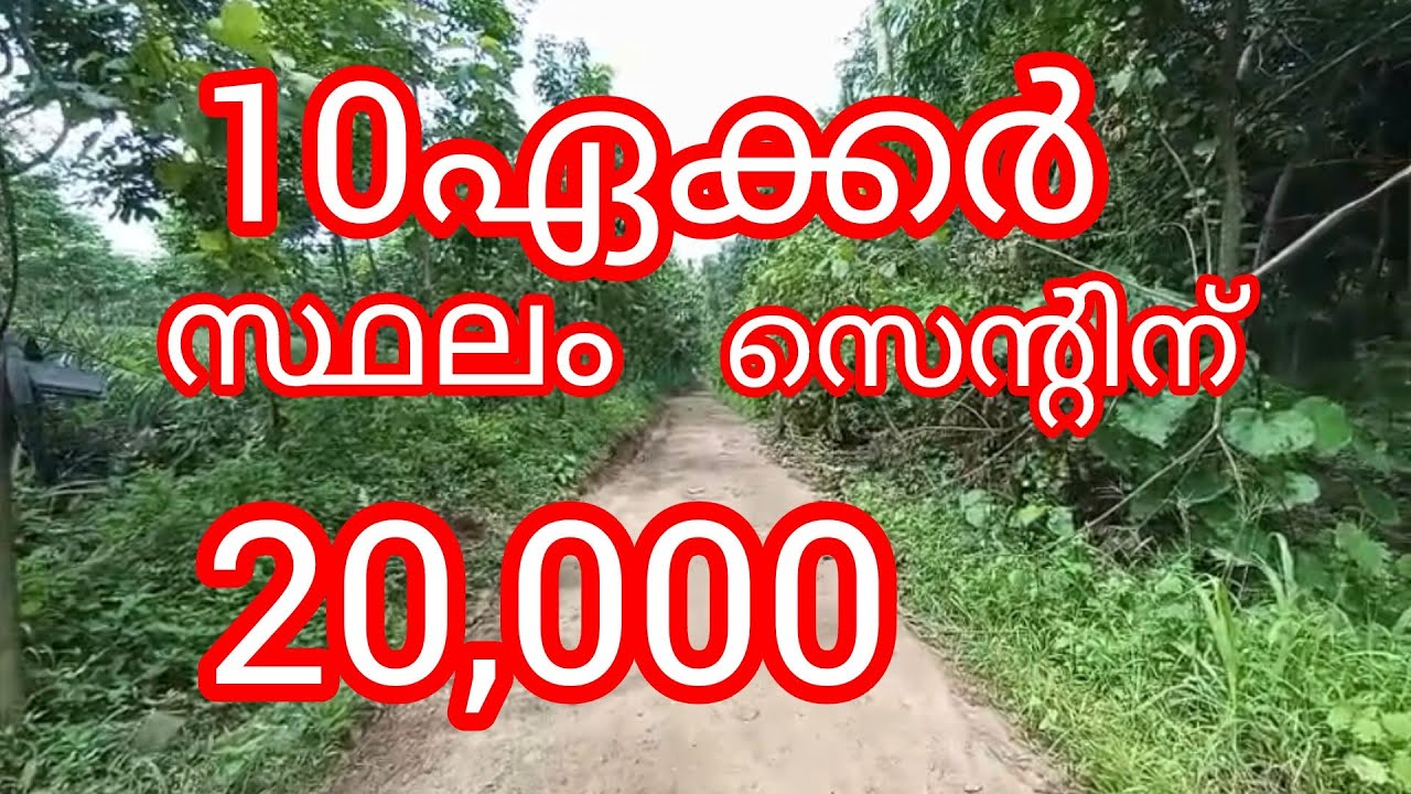 10ഏക്കർ സ്ഥലം സെന്റിന് -20,000 | Negotible