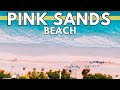 Pink sands beach where dreams meet reality  bahamas travel guide