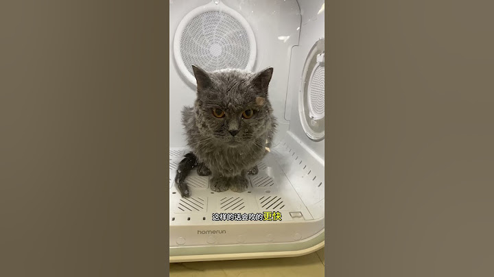 被动闭关结束，出来的时候已经找不着北 #猫咪 #cat