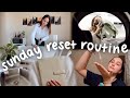 SUNDAY RESET ROUTINE (deep cleaning apartment, laundry, self care, plan workshop with Nitsan Raiter)