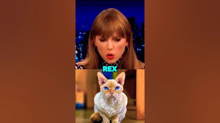 Video 8924581: british shorthair persian cat, cornish rex devon, british shorthair american, exotic shorthair persian cat, persian siberian cat, persian cat burmese