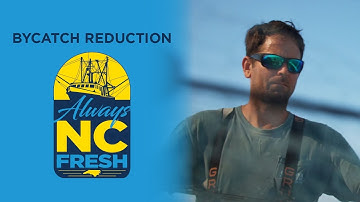 Always NC Fresh - Bycatch Reduction