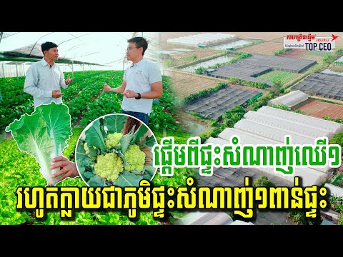 សាងសង់ផ្ទះសំណាញ់១ពាន់ផ្ទះដាំបន្លែ អនាគតយើងលែងភ័យរឿងបន្លែនាំចូលទៀតហើយ | កម្មវិធី Top CEO