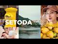 【SETODA】瀬戸田でボーッとしたら癒されすぎた旅【Vlog】