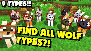 How to Find ALL WOLF TYPES in Minecraft 1.20.5+? Find All Wolf Variants | Java & Bedrock [Easy]