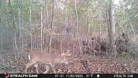 14412 Hummingbird Rd - the Neighbors