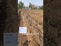 Kitne baingan ke podhe bachenge ? | journey Day 2~3 | #farming #farmfolks #farmlifestyle #trend