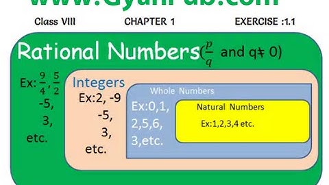 NCERT Solutions for Class 8th Maths Chapter 1 Rational Numbers Ex 1.1 Q 10