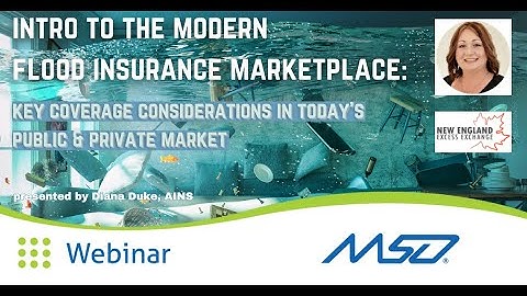 MSO Presents Intro to Modern Flood