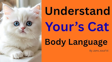 How to Understand Your