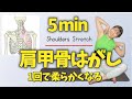#1745 【肩甲骨はがし】ガチガチに動かない背中が蘇る!可動域を広げて一気に脂肪を燃やす簡単トレーニング