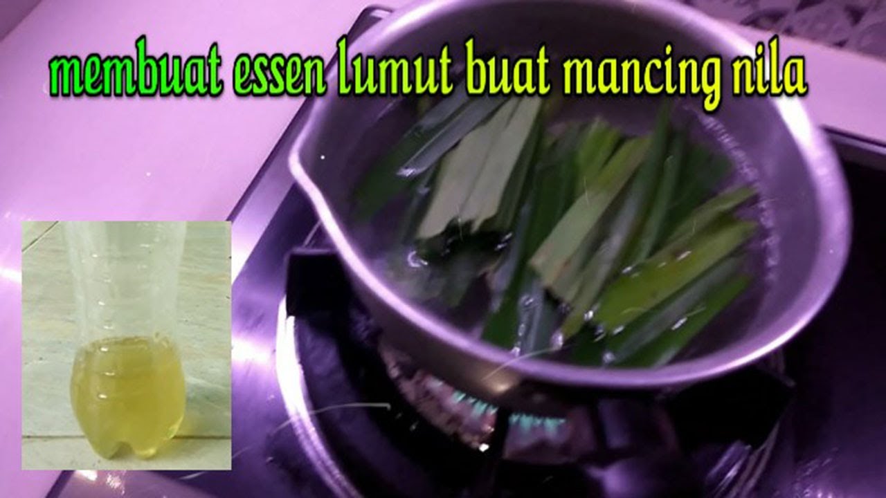 Membuat Essen Lumut Alami Buat Mancing Nila/Mujaer