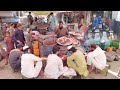 Pakistan foods in AFghanistan | Street food in Afghanistan | street food HD |