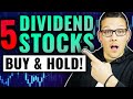 🖐🏻Dividend Stocks To Buy Now & Hold Forever In 2021! (Lifetime Passive Income💸)