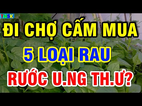 Video: Cá bơn sao: mô tả về nơi nó sống, những gì nó ăn