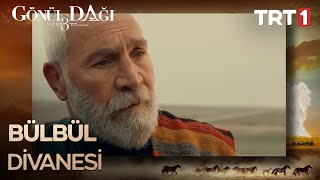 Senin için iki bülbül salacağım... | Gönül Dağı Sahneler Resimi