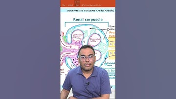 CSIR JUNE 2026 | RPSC FIRST GRADE | PLANT PHYSIOLOGY