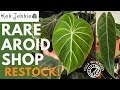 Rare aroid specialty shop Kek Jekkie visit - RESTOCK TODAY! | Plant with Roos
