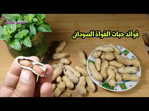 فوائد حبات الفول السودانى الرائعة لعلاج الامساك والجلد الفول السودانى صيدلية