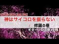 修羅の巷 / 神はサイコロを振らないギターソロ泥棒  No,295