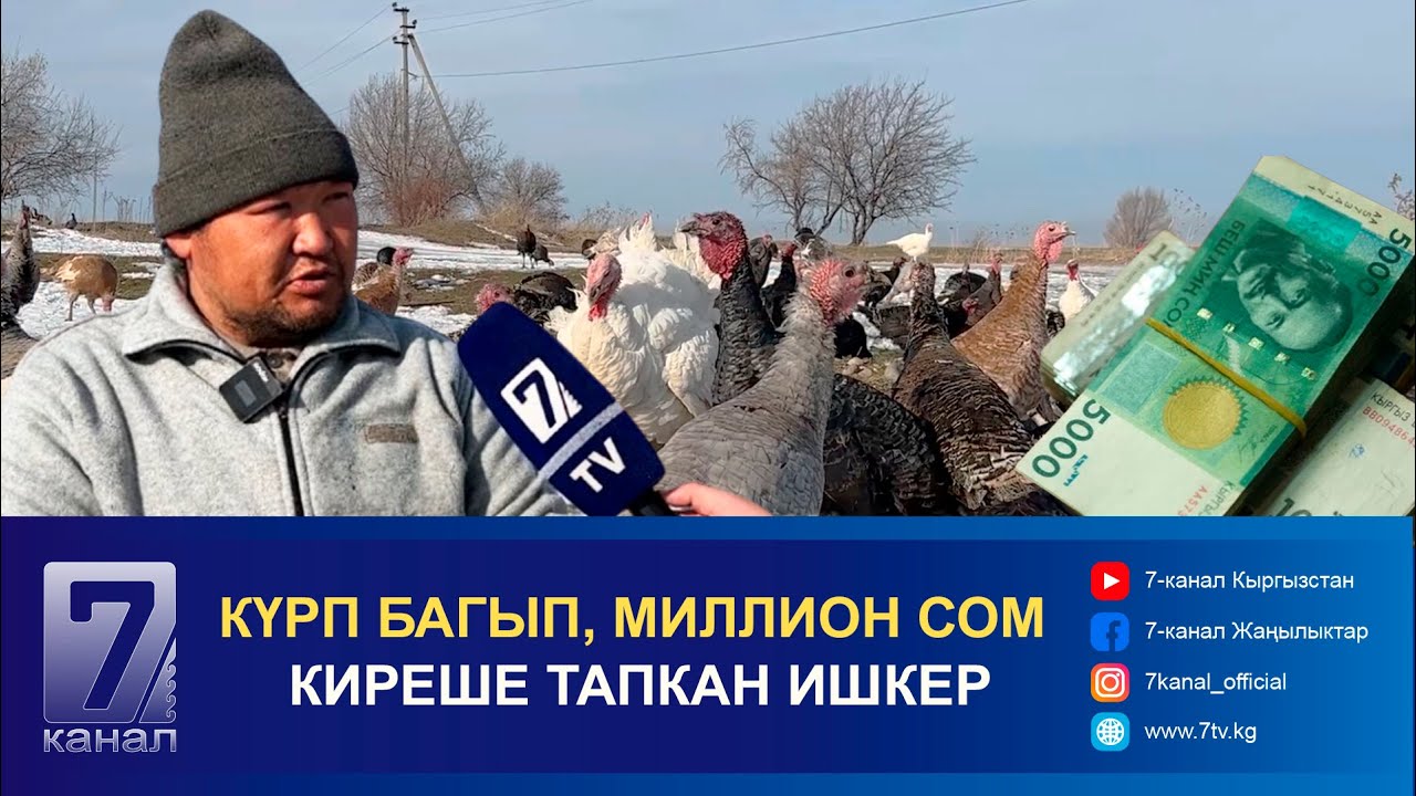 ҮНДҮК БАГЫП, МИЛЛИОН СОМ КИРЕШЕ ТАПКАН ИШКЕР