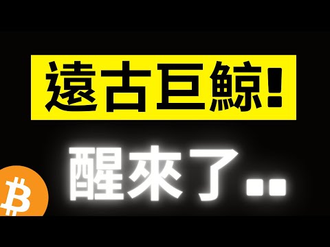 比特幣回踩67000關鍵POC後彈起! 鏈上的遠古巨鯨開始動作了，牛市中期信號以響起..!? 還是牛尾巴? [字幕]