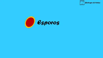 O que significa o termo esporos?