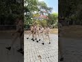Maharastra police | motivationa shorts #trending #motivation #viralvideo #police #shorts