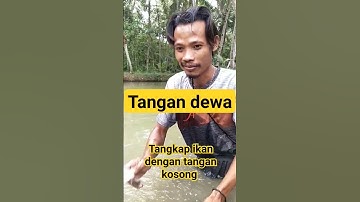 tangan dewa tangkap ikan dengan tangan kosong