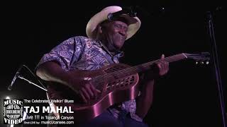 Video thumbnail of "The Celebrated Walkin' Blues - Taj Mahal - LIVE in Topanga Canyon !! -  musicUcansee.com"