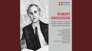 25 Abréviations (Arr. for Plectrum Orchestra by Christian Wernicke) :Abréviation No. 22