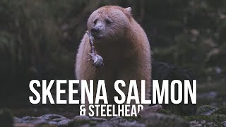 Skeena Salmon & Steelhead | A Fishing Film for the Future of Fish by Captain Quinn