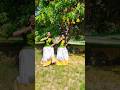 Radha kaise na jale dance cover shorts trend viral radhakrishnadance  amirkhan aliceforsure