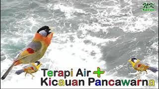 Terapi Air Pancawarna
