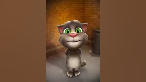 Samsung Galaxy S8 Startup sound (Talking Tom Version)
