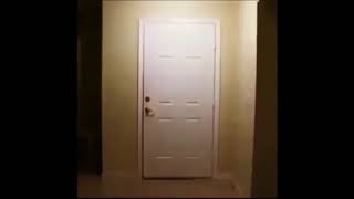 Big bird kicks in the door