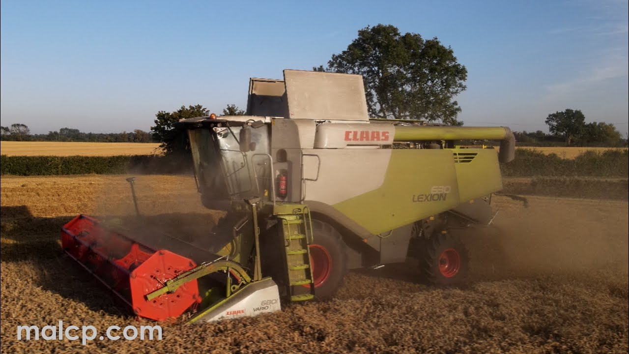 Harvest 2021 - Claas Lexion 630 cutting wheat in Suffolk