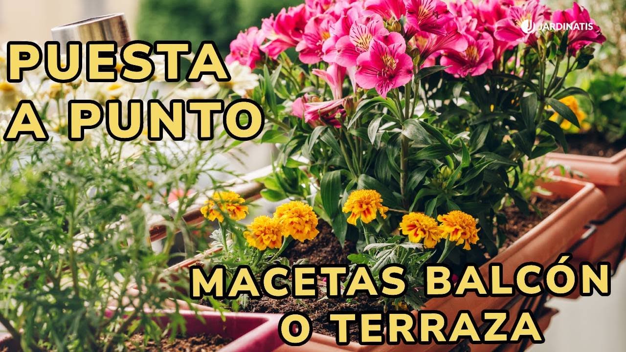 FLORES PERFECTAS para PRIMAVERA-VERANO  ¡Puesta a punto de las macetas del BALCÓN o TERRAZA!